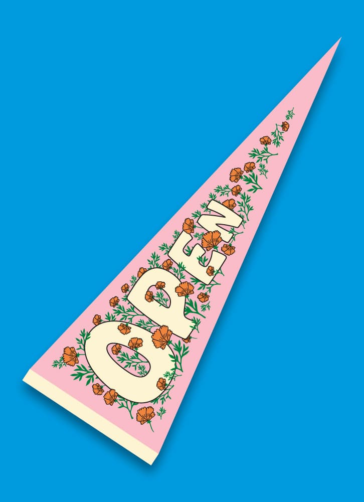 Open Pennant